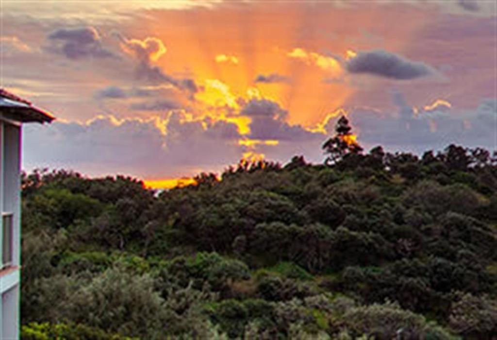 Whale Watch Ocean Beach Resort Пойнт-Лукаут Экстерьер фото