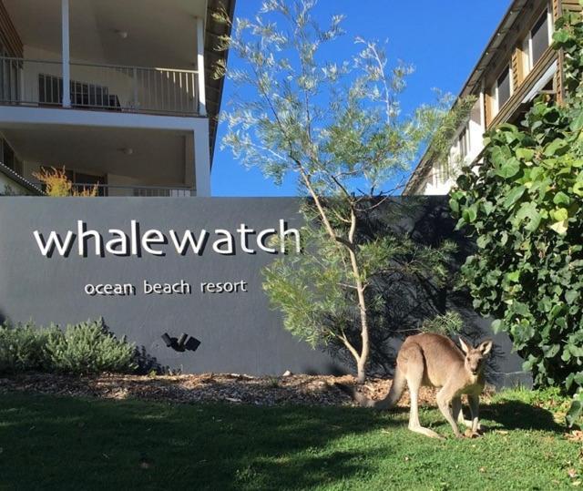 Whale Watch Ocean Beach Resort Пойнт-Лукаут Экстерьер фото